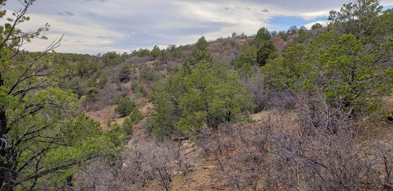 Copy of 20200430_164010