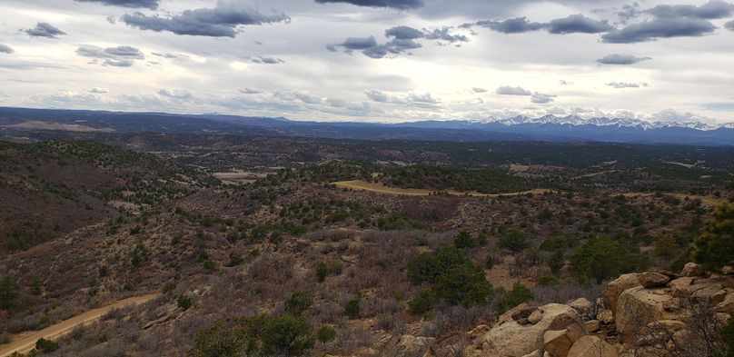 Copy of 20200430_161444