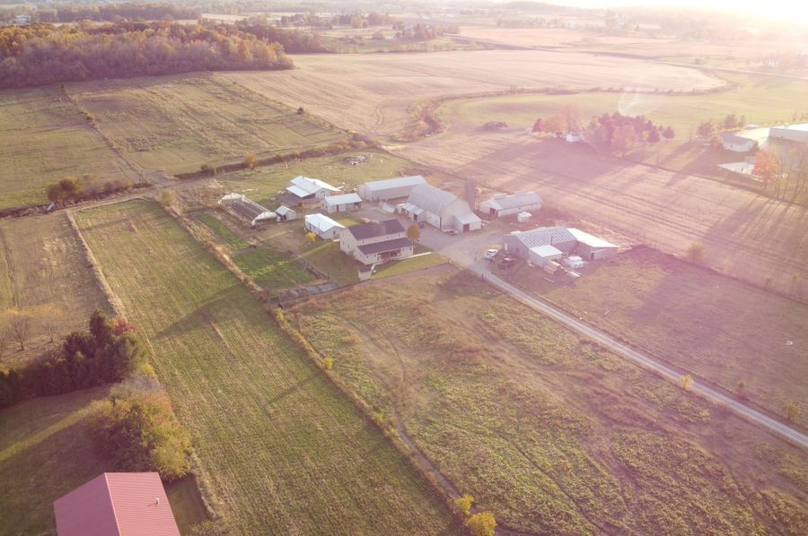DJI_0645