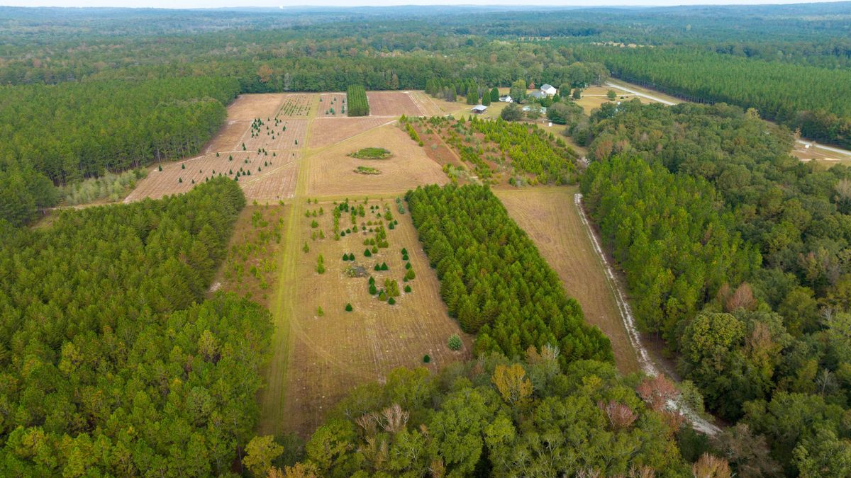 Sandy Creek Farm With Improvements Whitetail Properties