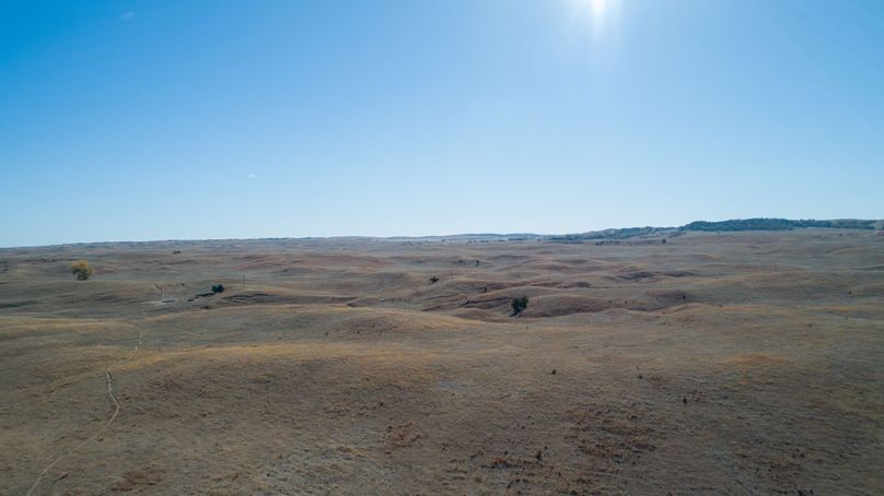 DJI_0008