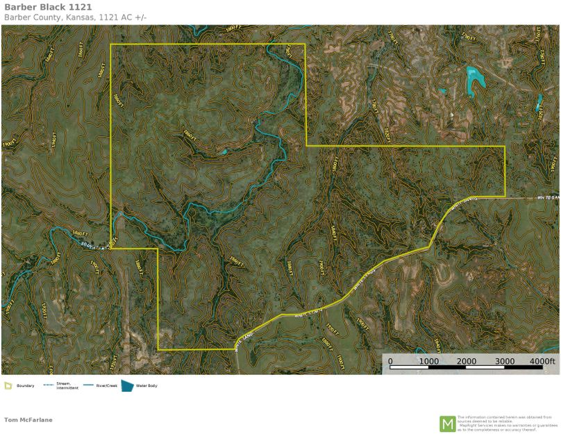 Barber Black 1121 Topo