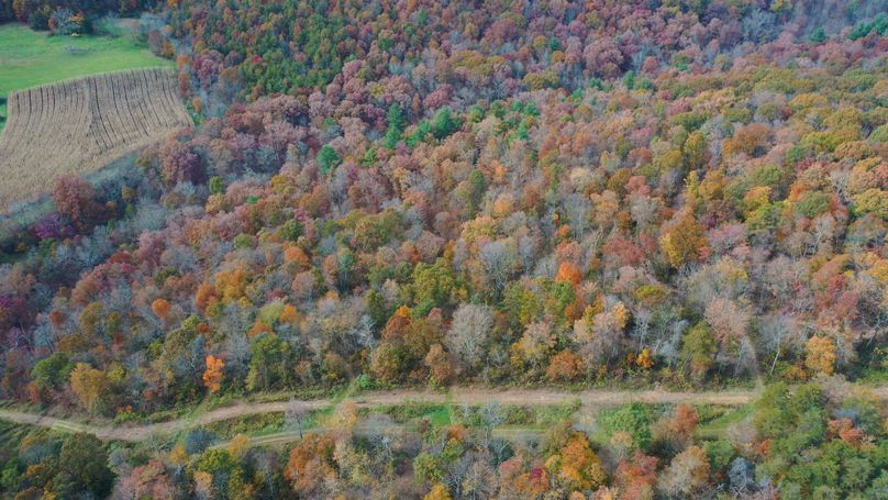 DJI_0282