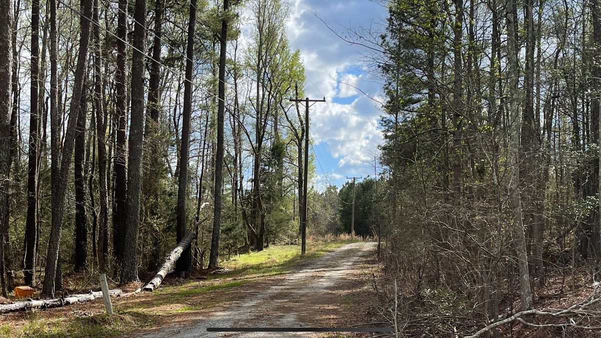 Weathers Farm Whitetail Properties