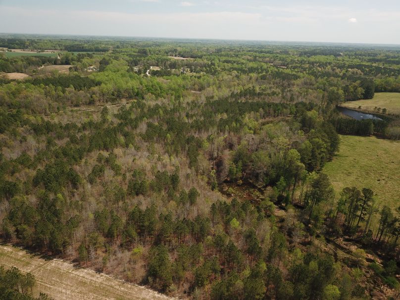 DJI_0005