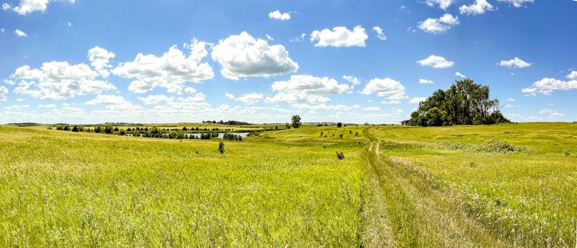 24. summer overview from NE entrance