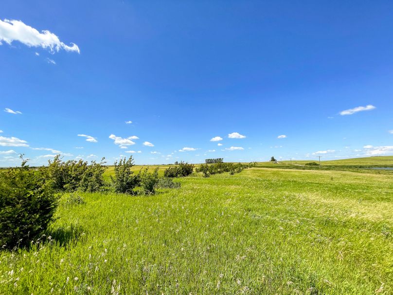 31. summer view of 443rd ave