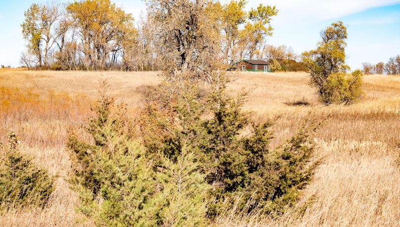 20. view of cabin from SW