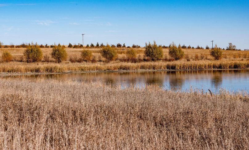 9. lake _ shelter belt