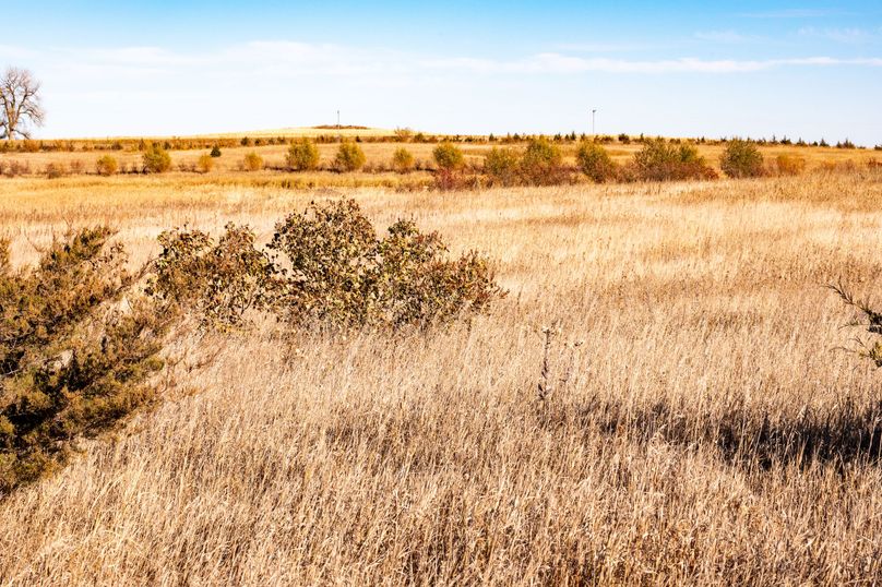 21. overlooking property from SW