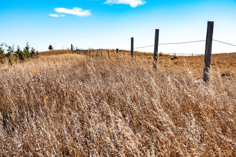 19. fence on western side of property