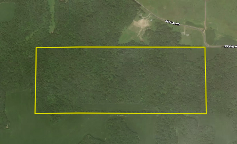 Screen Shot 2022-10-26 at 10.35.42 AM