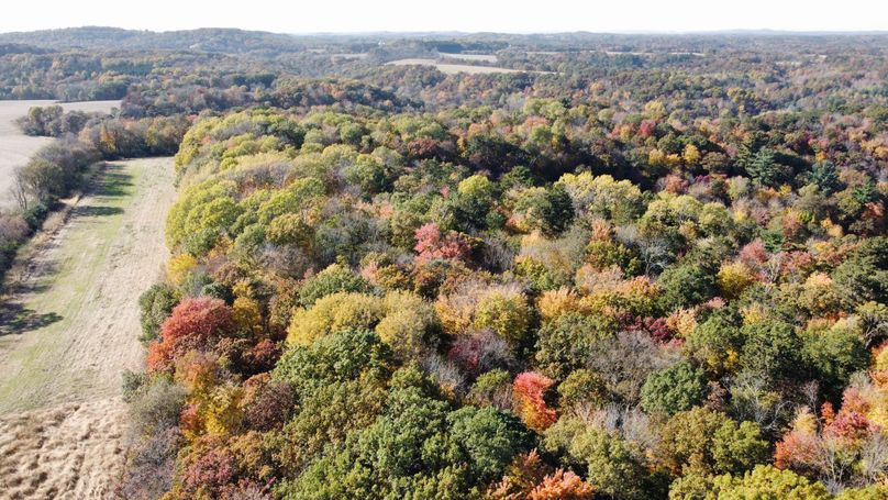 dji_fly_20221020_143638_114_1666295218230_photo_optimized