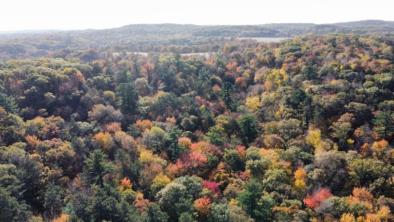 dji_fly_20221020_143322_105_1666295242457_photo_optimized