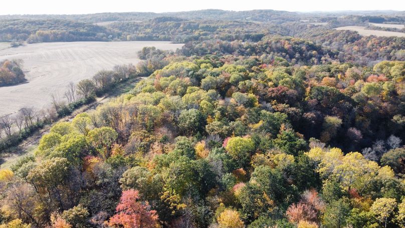 dji_fly_20221020_143854_115_1666295217245_photo_optimized