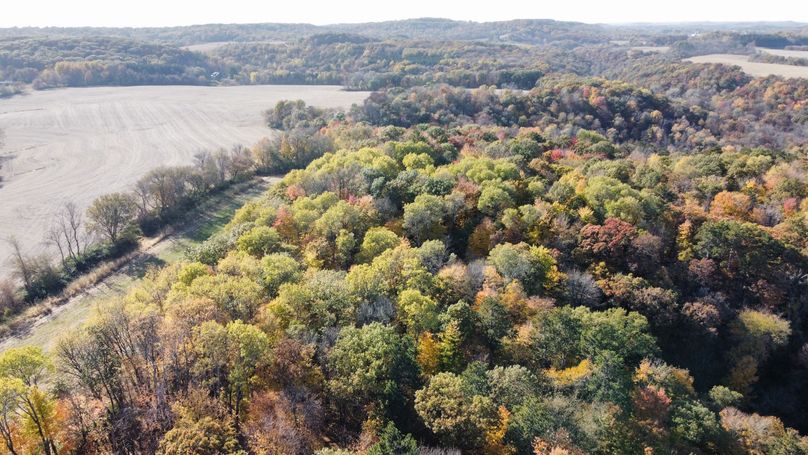 dji_fly_20221020_143908_117_1666295215381_photo_optimized