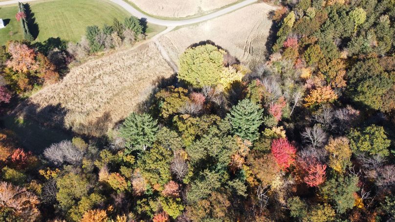 dji_fly_20221020_144418_128_1666295184347_photo_optimized