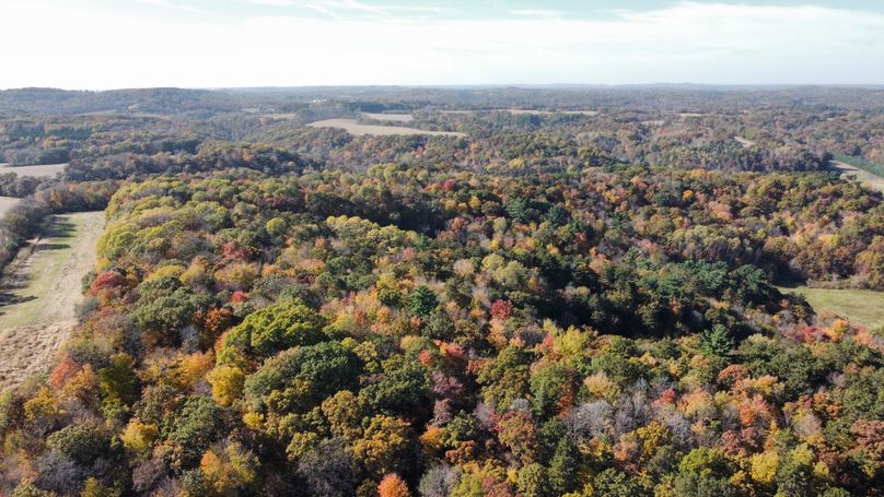 dji_fly_20221020_144356_127_1666295185624_photo_optimized