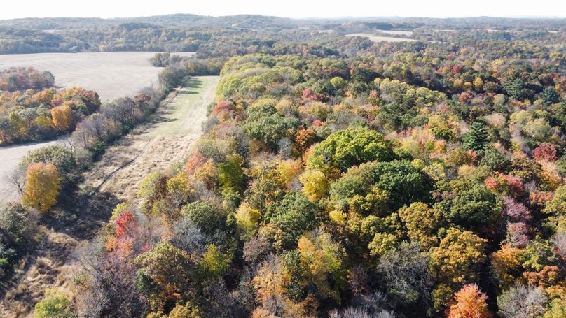 dji_fly_20221020_143548_112_1666295225746_photo_optimized