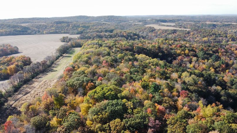 dji_fly_20221020_143452_109_1666295228639_photo_optimized