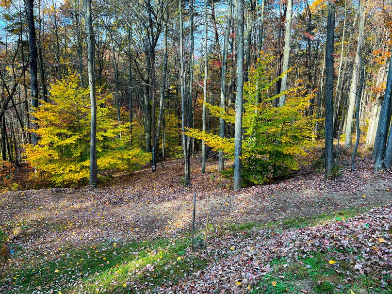 Ritchie, WV 14.081 AC Lowe-06