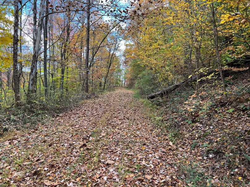 Ritchie, WV 14.081 AC Lowe-44