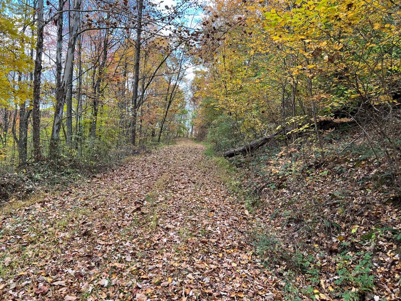 Ritchie, WV 14.081 AC Lowe-43