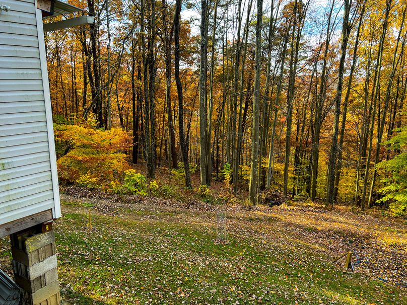 Ritchie, WV 14.081 AC Lowe-04