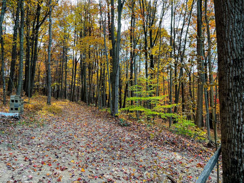 Ritchie, WV 14.081 AC Lowe-27