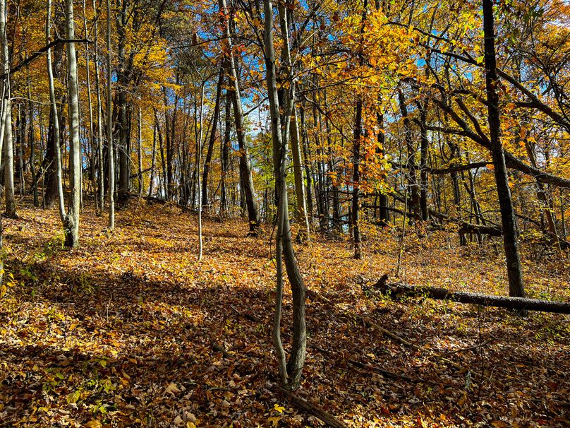 Ritchie, WV 14.081 AC Lowe-38