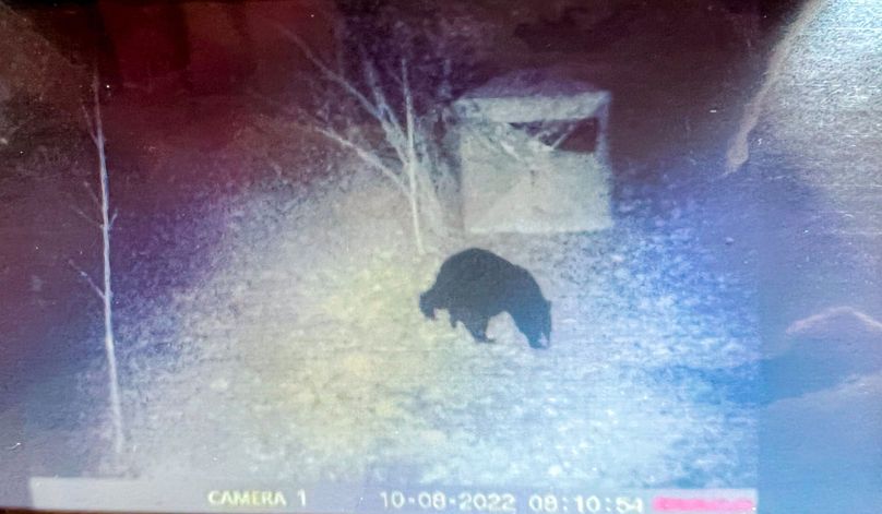 Ritchie, WV 14.081 AC Lowe-52