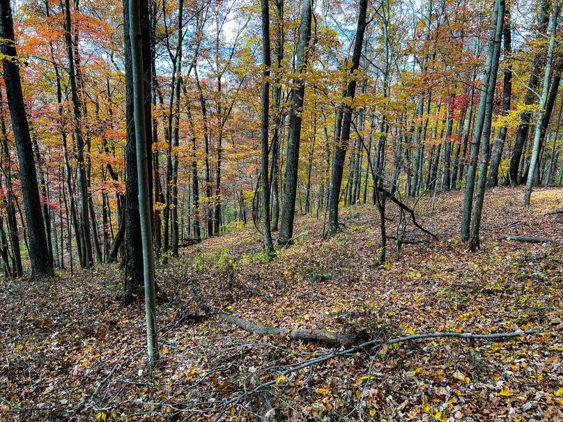 Ritchie, WV 14.081 AC Lowe-33