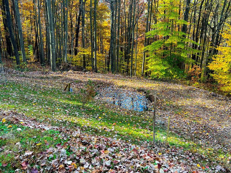 Ritchie, WV 14.081 AC Lowe-03