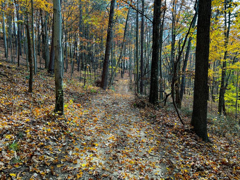 Ritchie, WV 14.081 AC Lowe-29