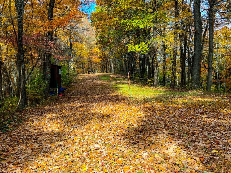 Ritchie, WV 14.081 AC Lowe-40