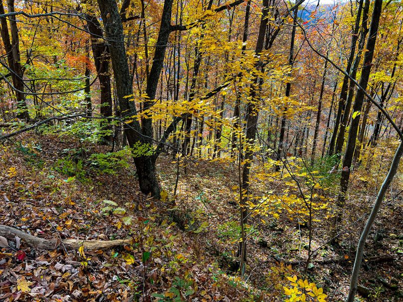 Ritchie, WV 14.081 AC Lowe-37