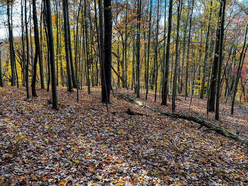 Ritchie, WV 14.081 AC Lowe-35