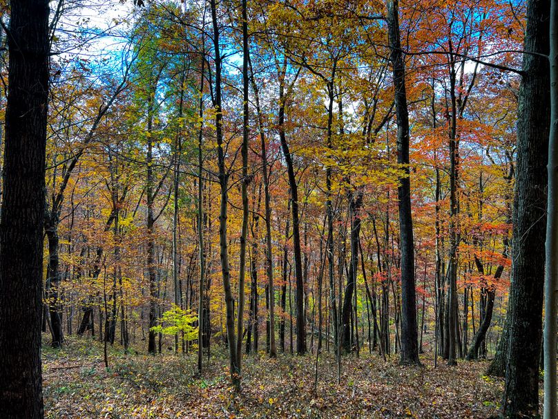 Ritchie, WV 14.081 AC Lowe-31