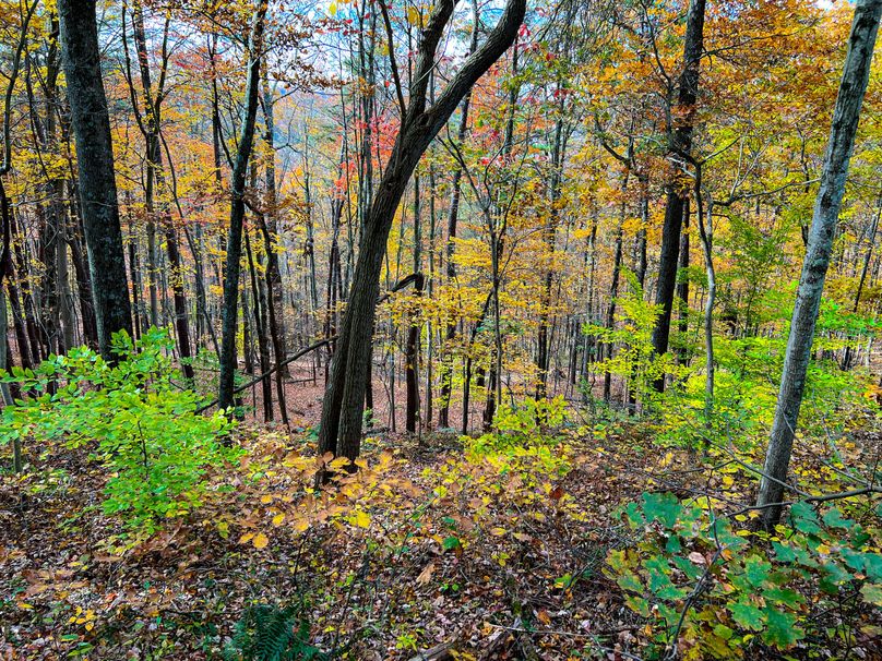 Ritchie, WV 14.081 AC Lowe-42