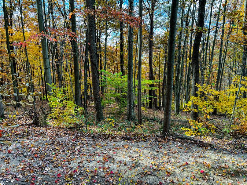 Ritchie, WV 14.081 AC Lowe-28