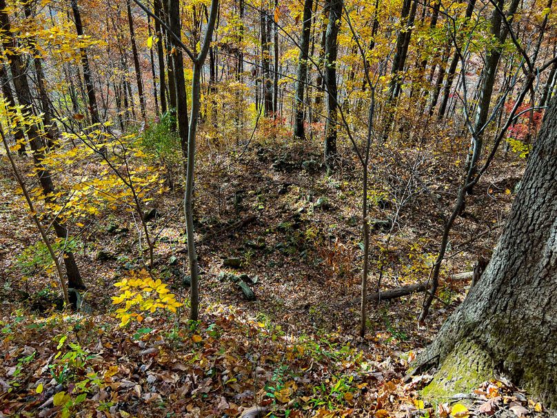 Ritchie, WV 14.081 AC Lowe-36