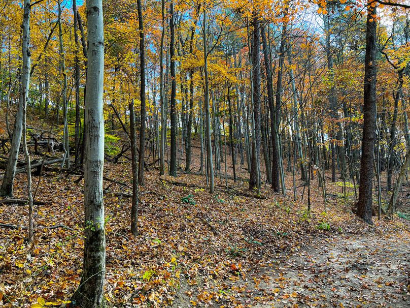 Ritchie, WV 14.081 AC Lowe-34