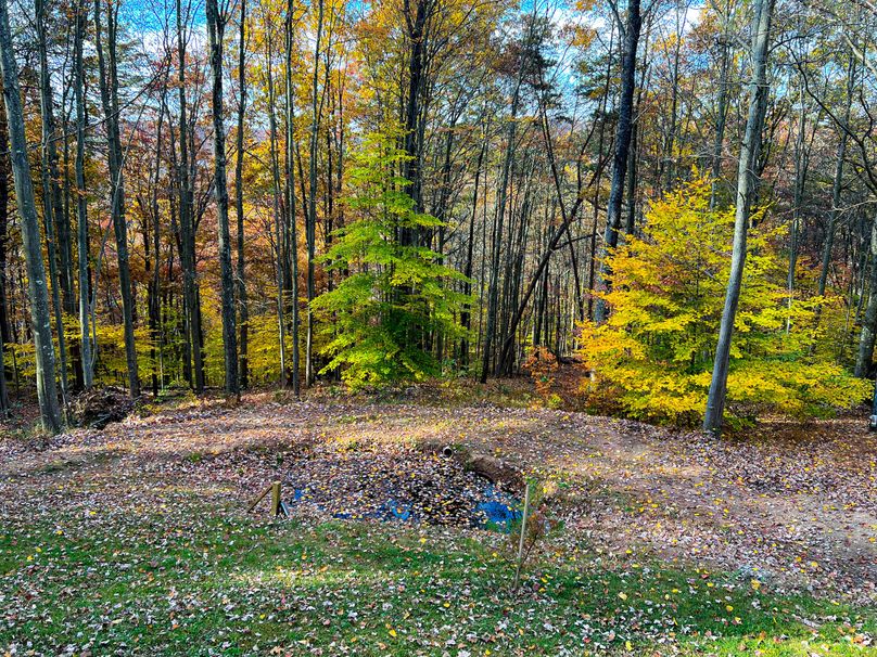 Ritchie, WV 14.081 AC Lowe-05