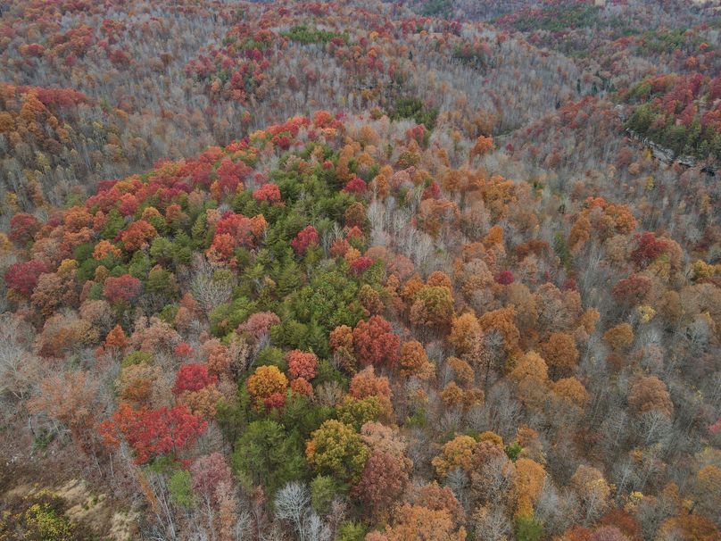 038 beautiful fall colors along the ridge top