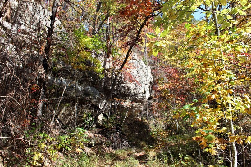 024 those beautiful fall colors trying to hide that beautiful rock cliff