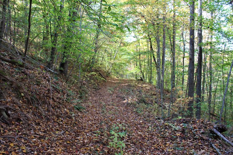 023 one of the secondary roads_trails leading west down the valley near the middle of the property
