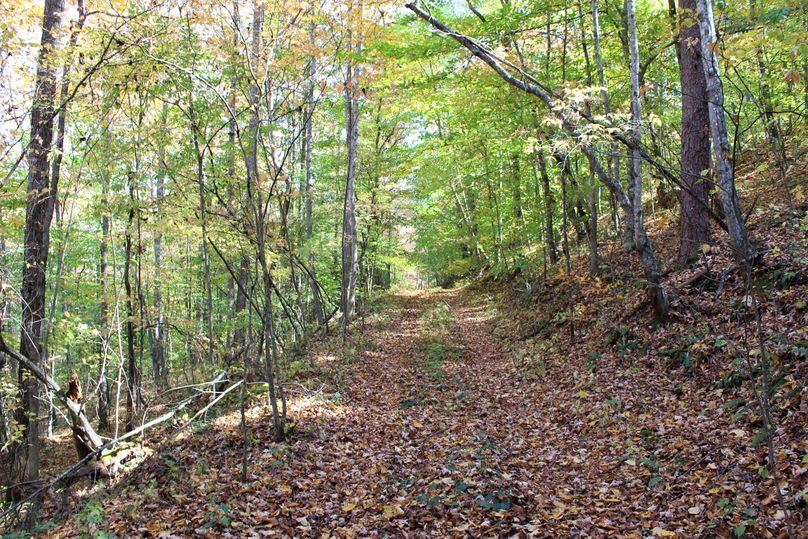 001 one of the many good roads leading about the property