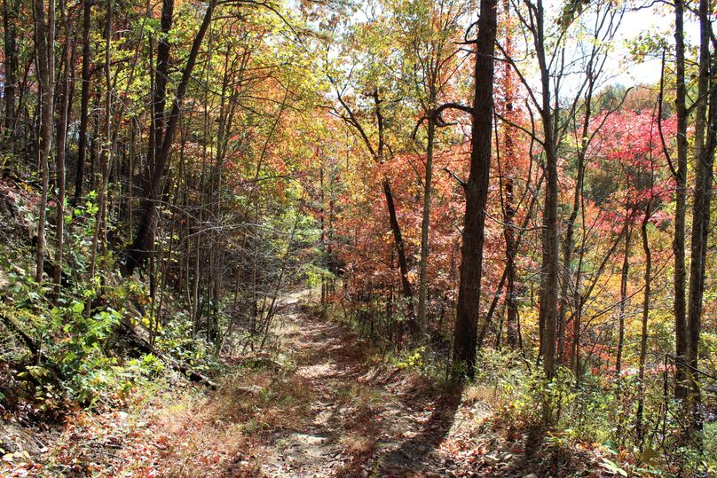 019 the eastern most main road leading down into the valley to the west