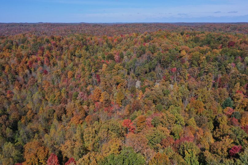 022 low elevation drone shot in the upper reaches of the main valley