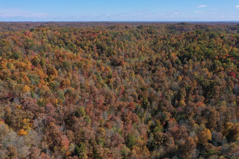 009 aerial drone shot from the southwest corner of the property looking northeast up the valley